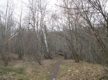 p1530234.jpg