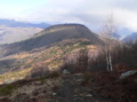 p1530276.jpg