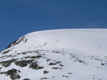 p1530445.jpg