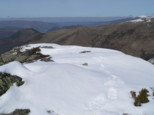 p1530554.jpg