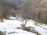p1530573.jpg