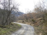 p1530600.jpg
