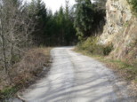 p1530631.jpg