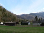 p1530656.jpg