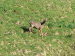 p1670295_1.jpg