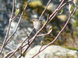 p1670299_1.jpg