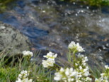 p1670500.jpg