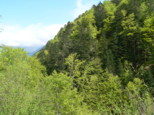 p1670625.jpg
