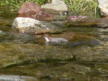 p1670658_1.jpg