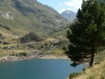 Cliquez pour agrandir