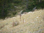 p1520215.jpg