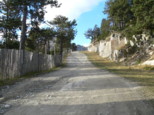 p1520225.jpg