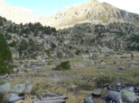 p1520241.jpg