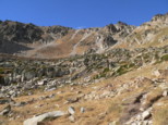 p1520317.jpg
