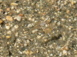 p1520524_1.jpg