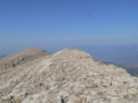 p1730017.jpg