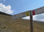 p1730216.jpg