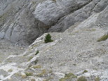 p1730264.jpg