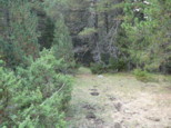 p1730353.jpg