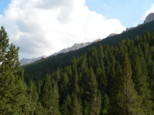 p1730373.jpg
