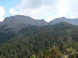 p1730435.jpg