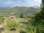 p1730464.jpg